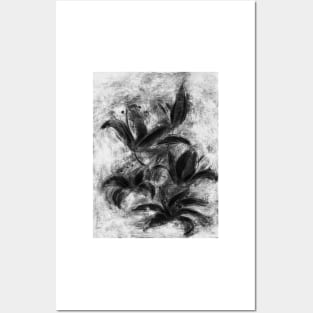 black and white lilies Posters and Art